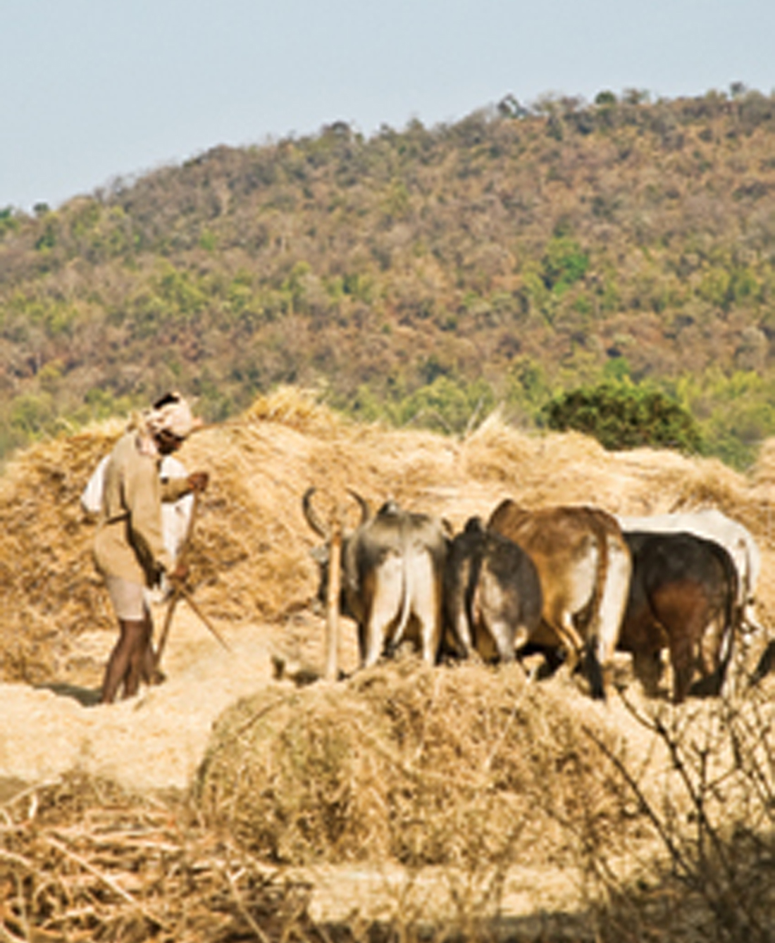 Agricultural Calculations Decoded